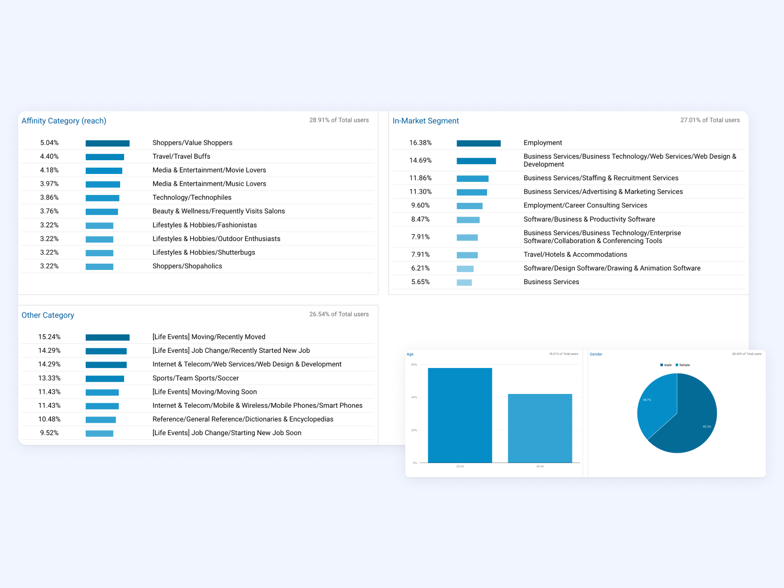Google Analytics Demographic
